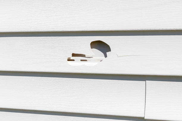 Best Property Management Cleanouts  in Attleboro, MA
